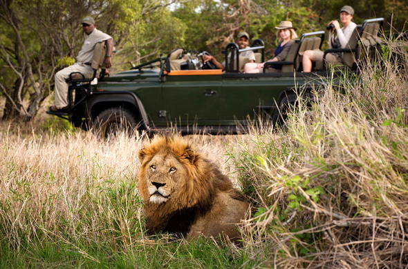 How To Get To Timbavati Game Reserve - Timbavati Directions & Location