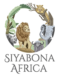 http://timbavati.krugerpark.co.za
