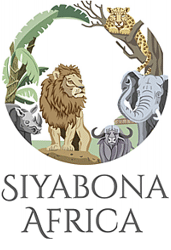 http://timbavati.krugerpark.co.za