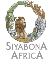 http://timbavati.krugerpark.co.za