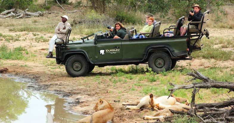 Authentic Adventure - 4 day Classic Timbavati Safari Tour