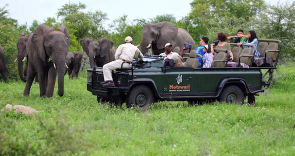 Back to Basics - 4 day Classic Timbavati Safari Tour