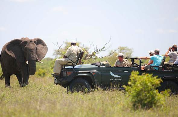 Images Ngala Tented Camp -Timbavati Private Game Reserve