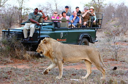 Timbavati Private Game Reserve - Timbavati Safari Activities