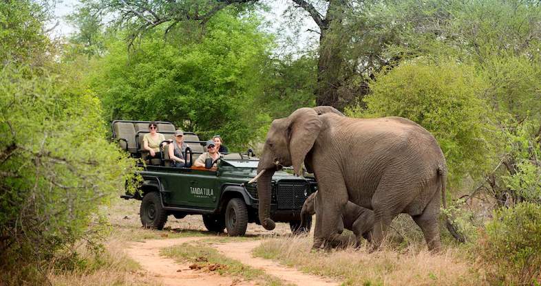 Luxurious and Romantic African Safari