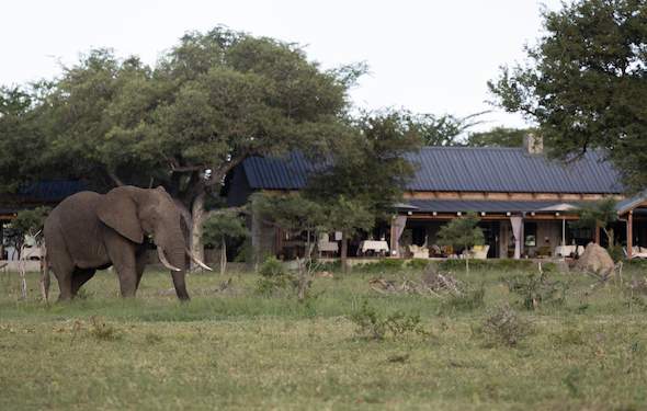 Walkers Plains Camp - Timbavati Private Nature Reserve - Greater Kruger